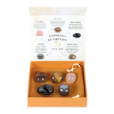 Capricorn Crystal Tumble Stone Set