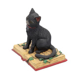 Eclipse Black Cat Spell Book Figurine