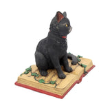 Eclipse Black Cat Spell Book Figurine