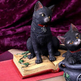 Eclipse Black Cat Spell Book Figurine