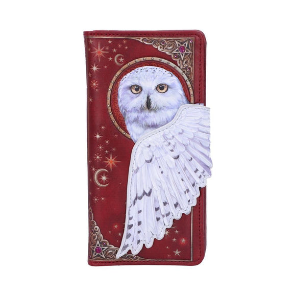 Magical Flight Owl Purse