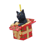 Christmas Present Cat Hanging Ornament by Lisa Parker