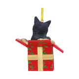 Christmas Present Cat Hanging Ornament by Lisa Parker