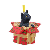 Christmas Present Cat Hanging Ornament by Lisa Parker