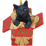 Christmas Present Cat Hanging Ornament by Lisa Parker