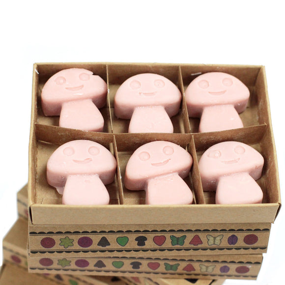 eco wax melts